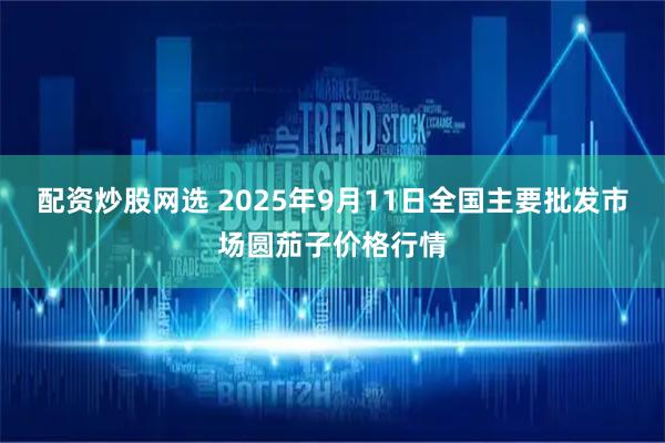 配资炒股网选 2025年9月11日全国主要批发市场圆茄子价格行情