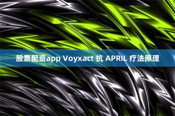股票配资app Voyxact 抗 APRIL 疗法原理